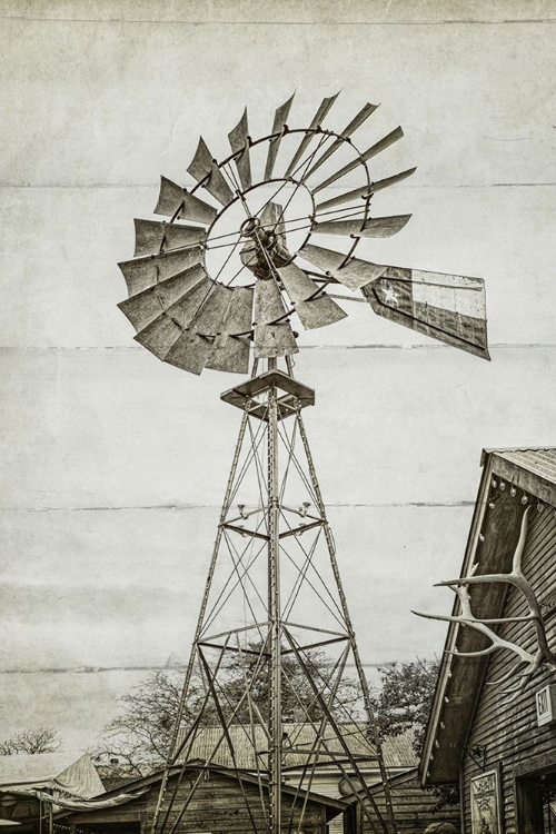 Picture of WINDMILL WATERPUMP ON SHIPLAP