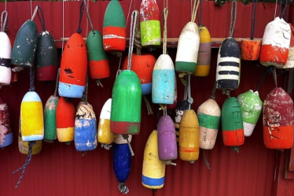 Picture of HELLO-BUOYS