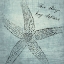 Picture of LOVE ALWAYS KING NEPTUNE