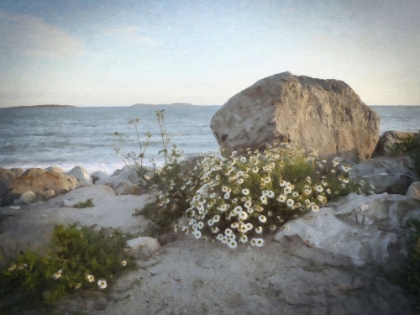 Picture of COASTAL MEDITATION ROCK