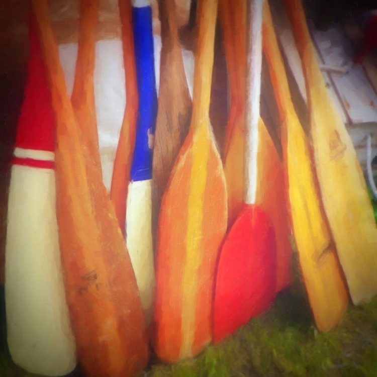Picture of BOAT OARS PAINTED
