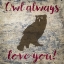 Picture of OWL ALWAYS LOVE YOU