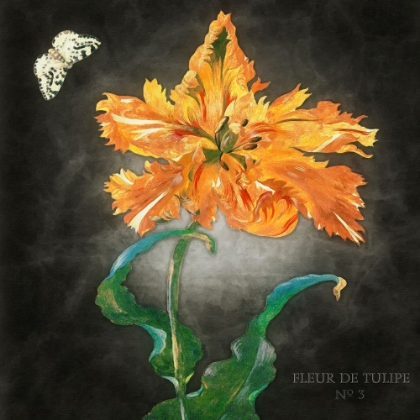 Picture of FLEUR DE TULIPE NO 3