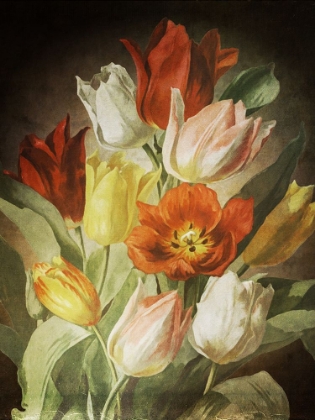 Picture of TULIP BOUQUET