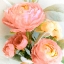 Picture of SPRING PEONIES 2