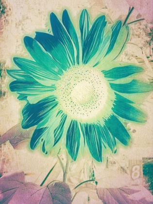 Picture of FRESH PRESSED VINTAGE ROADSIDE SUNFLOWER