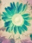 Picture of FRESH PRESSED VINTAGE ROADSIDE SUNFLOWER
