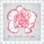 Picture of FLORAS SILLIUS ONE CARNATION UNDER GOD