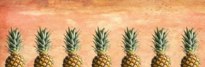 Picture of PINEAPPLES IN PINK