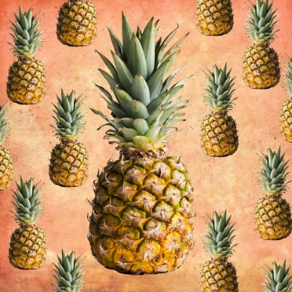 Picture of PINEAPPLES ON PINK