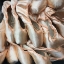 Picture of AT THE BALLET