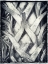 Picture of PRAYING PALM
