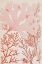 Picture of CORAL CORAL 2