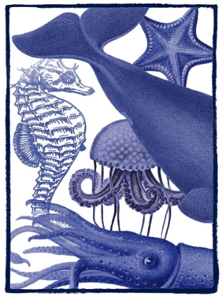 Picture of INDIGO SEA LIFE