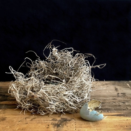 Picture of PERFECTLY IMPERFECT BIRDS NEST