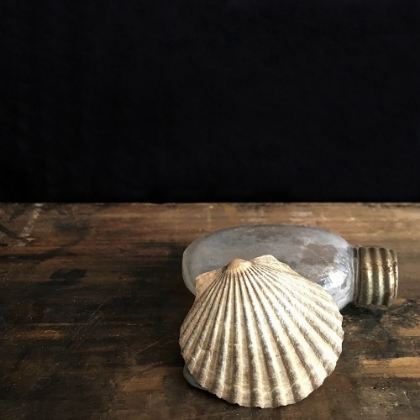 Picture of PERFECTLY IMPERFECT GLASS BOTTLE AND SHELL