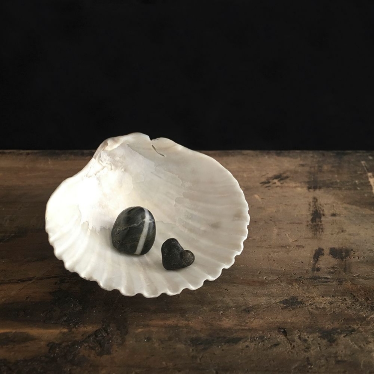 Picture of PERFECTLY IMPERFECT WHITE SCALLOP BLACK STRIPE STONE