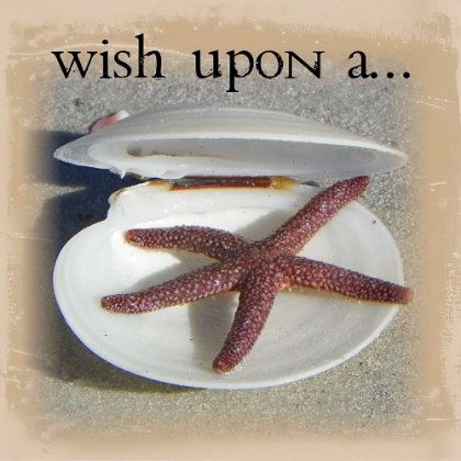 Picture of WISH UPON A….