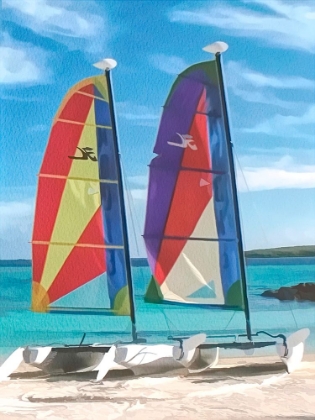 Picture of CATAMARANS IN WATERCOLOR