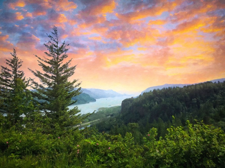 Picture of SCENIC OVERLOOK