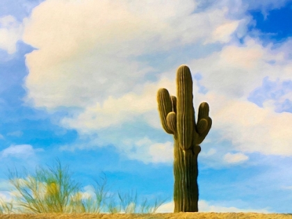 Picture of WESTERN CACTUS