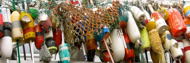 Picture of HANGING BUOYS