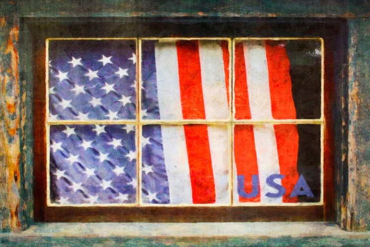 Picture of WINDOW TO THE USA