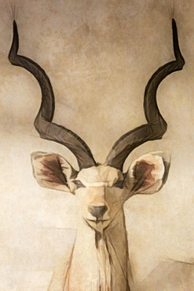 Picture of PARCHMENT LONGHORNED DEER