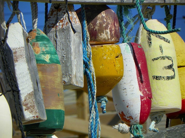 Picture of BUOYS CLOSE UP