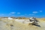 Picture of DRIFTWOOD AND BLUE SKY