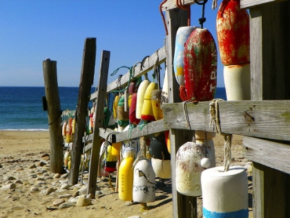 Picture of BEACH BUOYS