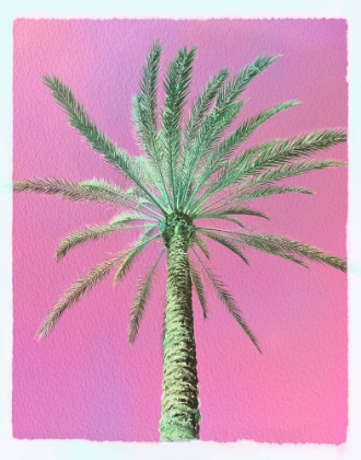 Picture of ONE HOT SUMMER PALM