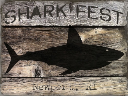 Picture of SHARK FEST
