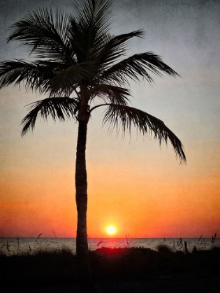 Picture of PALM IN SUNSET