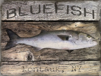 Picture of BLUEFISH