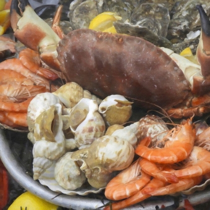 Picture of STILL LIFE SEAFOOD