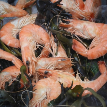 Picture of STILL LIFE PRAWNS