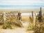 Picture of PATHWAY TO THE BEACH