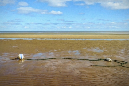 Picture of BUOY STUDY 2