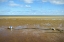 Picture of BUOY STUDY 2