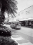 Picture of MIAMI TRAM TOUR LINCOLN MALL ROAD