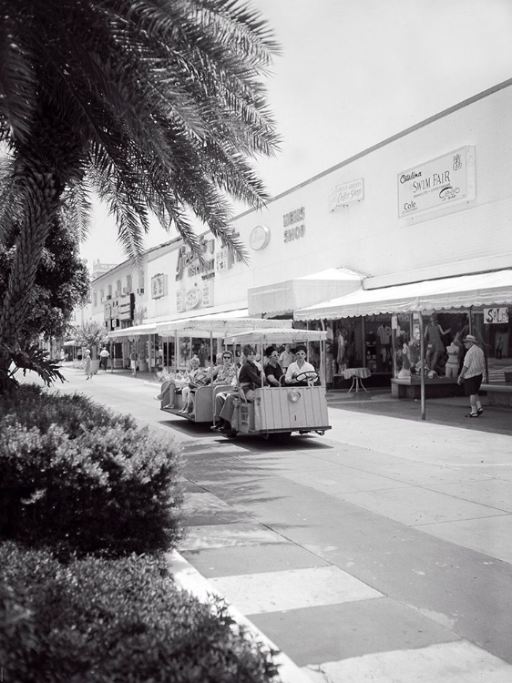 Picture of MIAMI TRAM TOUR LINCOLN MALL ROAD