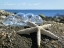 Picture of TREASURES OF THE SEA AWAIT