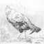 Picture of BARNYARD FRIENDS ROOSTER