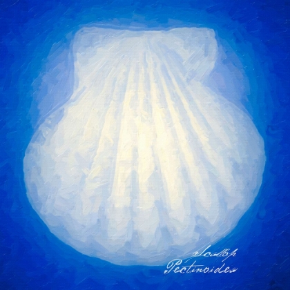 Picture of SIMPLY SHELL SCALLOP CLASSIC BLUE