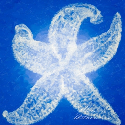 Picture of SIMPLY SHELL STARFISH CLASSIC BLUE