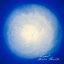 Picture of SIMPLY SHELL SNAIL CLASSIC BLUE