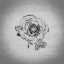 Picture of BEACH ROSE LINEAR MOTION