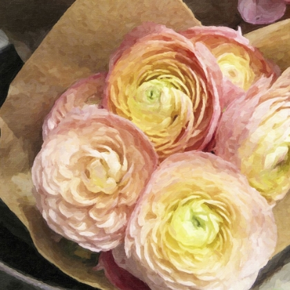 Picture of RANUNCULUS BOUQUET 2