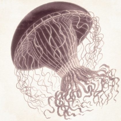 Picture of RED JELLYFISH